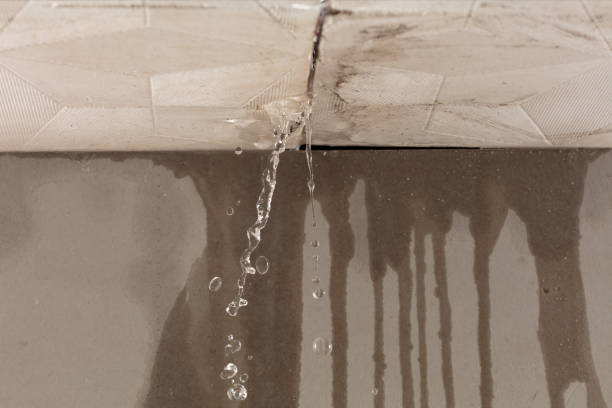 Professional Structural Drying technician working in Livingston, NJ